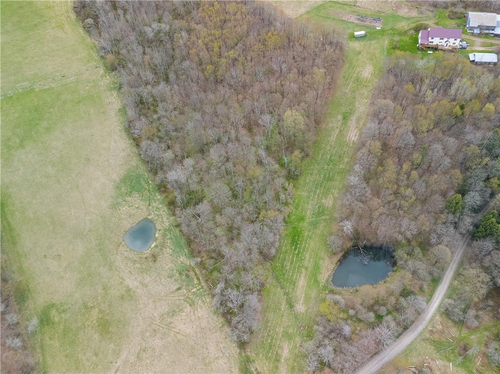 169 Musto Hollow Road Ulysses, PA 16948 - Photo 49 of 50