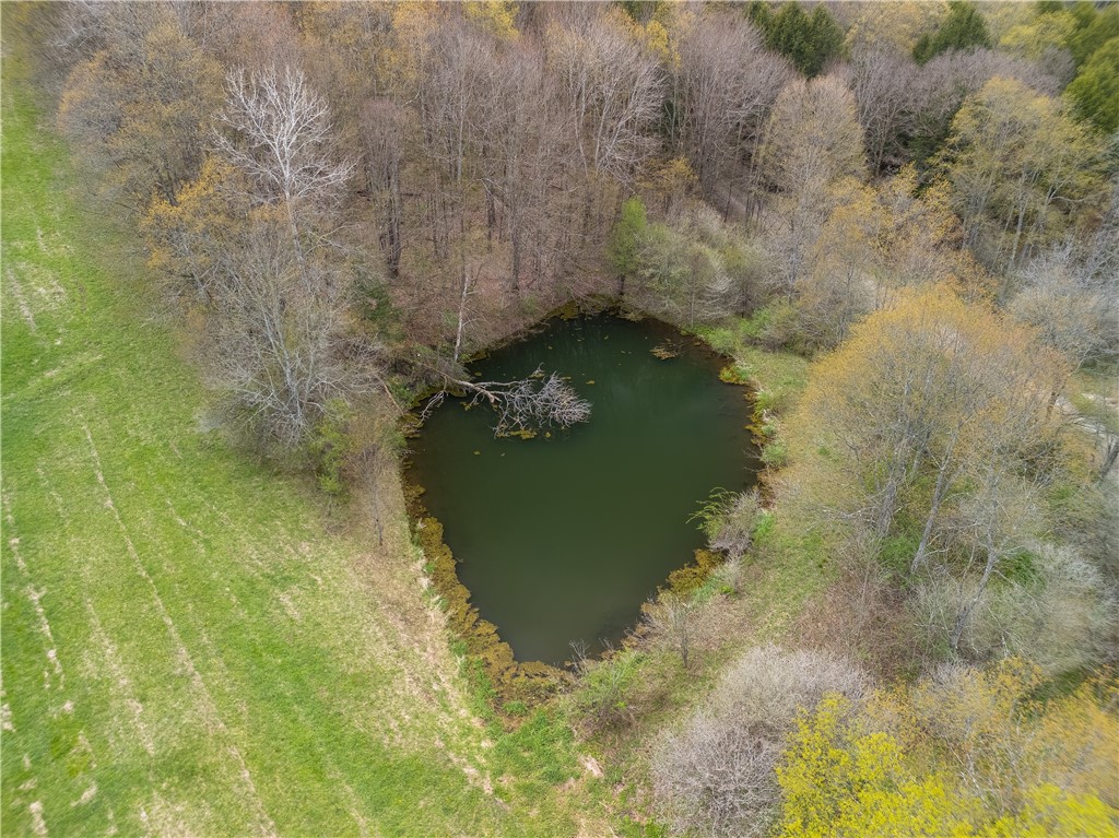 169 Musto Hollow Road Ulysses, PA 16948 - Photo 50 of 50
