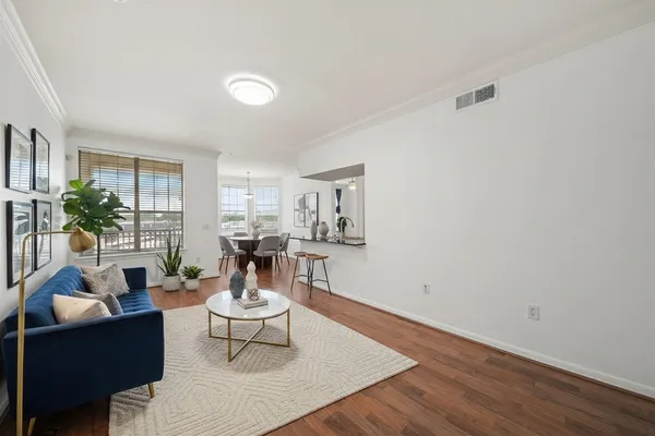 a living room with furniture and a potted plant