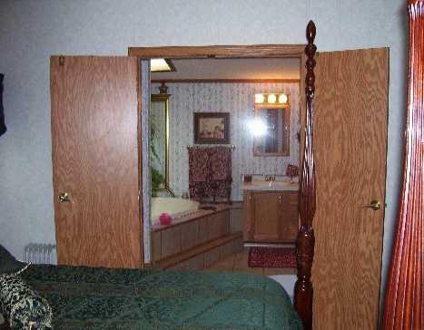 431 A School Road Clinton, PA 15026 - Photo 6 of 6 Master Bath/Spa.