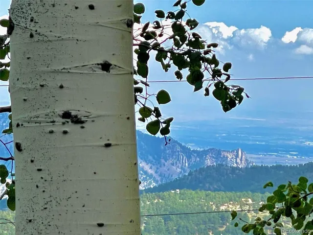 $639,000 | 11857 Coal Creek Heights Drive, Golden, CO 80403