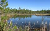 Lot 54 Wiregrass Way Callahan, FL 32011 - Photo 1 of 18 Gallery Image 1