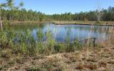 Lot 54 Wiregrass Way Callahan, FL 32011 - Photo 2 of 18 Gallery Image 2