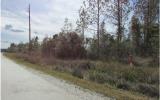 Lot 54 Wiregrass Way Callahan, FL 32011 - Photo 4 of 18 Gallery Image 4
