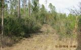Lot 54 Wiregrass Way Callahan, FL 32011 - Photo 8 of 18 Gallery Image 8