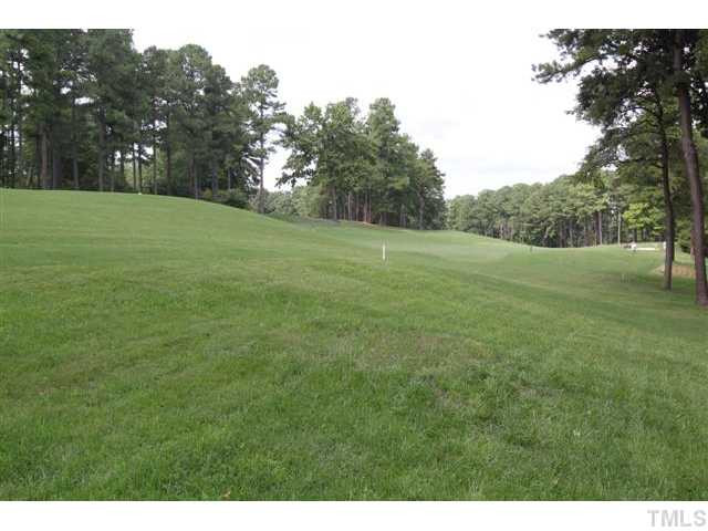 6917 Rainwater Road Raleigh, NC 27615 - Photo 2 of 25 Photo 2