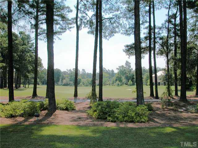 6917 Rainwater Road Raleigh, NC 27615 - Photo 23 of 25 Photo 23