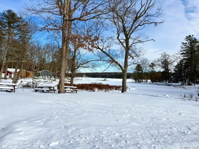 a view of park with large tree