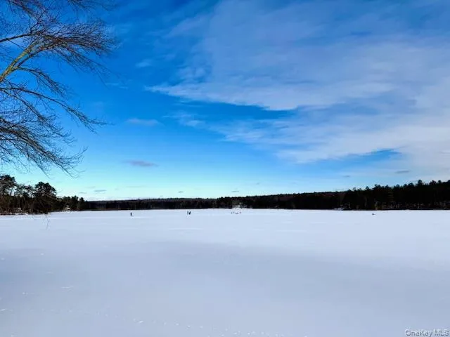 a view of outside space with mountain view