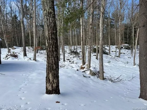 a view of a park with large trees