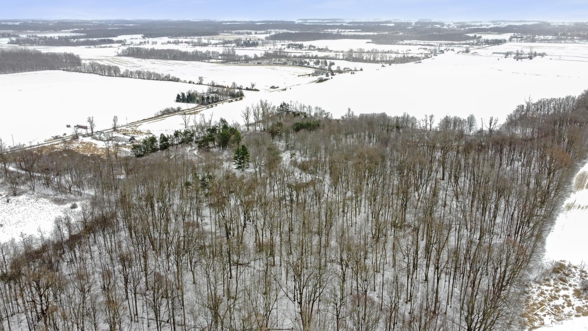 4270 South Waldron Road Hudson, MI 49247 - Photo 37 of 38 50162646-abf3f59f-735c-4d52-aeba-06c5a0922119.JPG