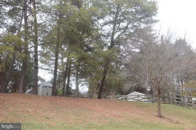 a view of a yard with trees