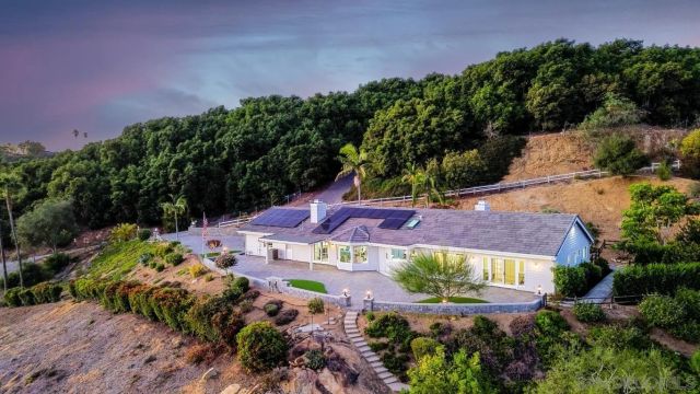 a view of a garden with plants and large trees