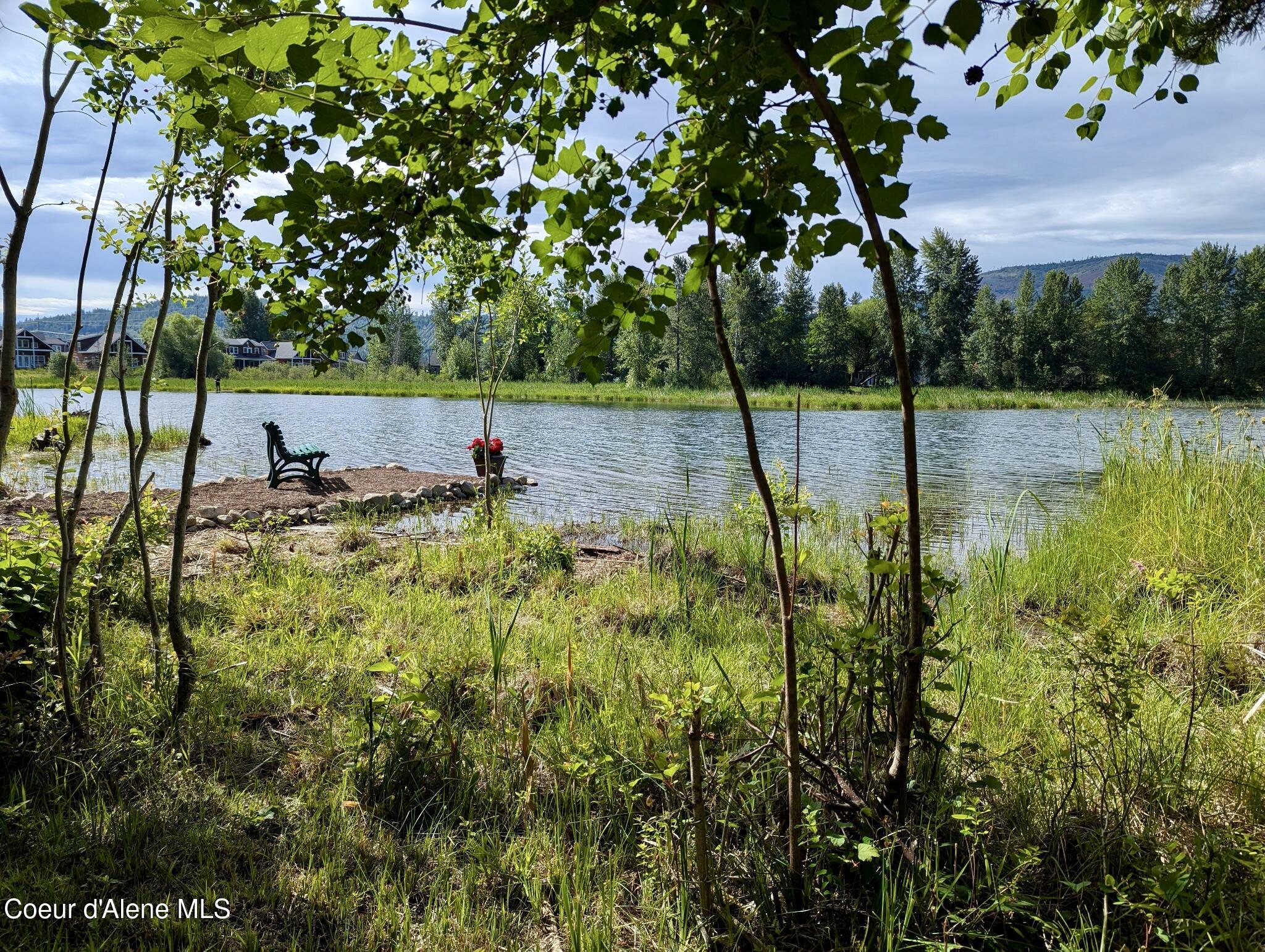 891 Ames Way Dover, ID 83825 - Photo 52 of 66 54. Beach looking East thru treesJPG