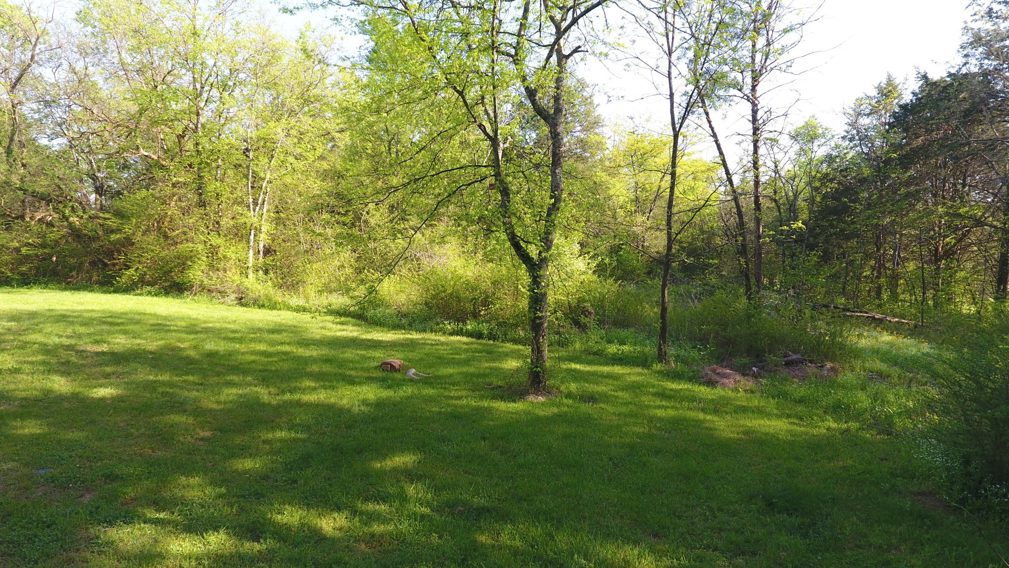22 Warden Road Fayetteville, TN 37334 - Photo 28 of 34 a view of outdoor space and yard