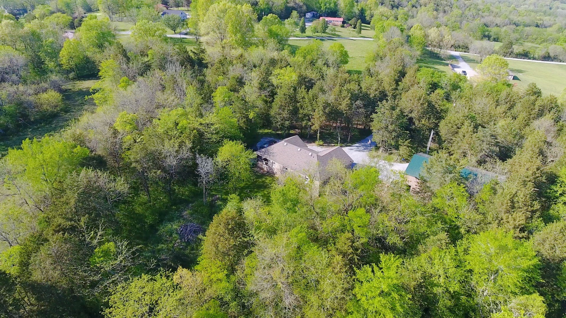 22 Warden Road Fayetteville, TN 37334 - Photo 34 of 34 a view of a lush green forest