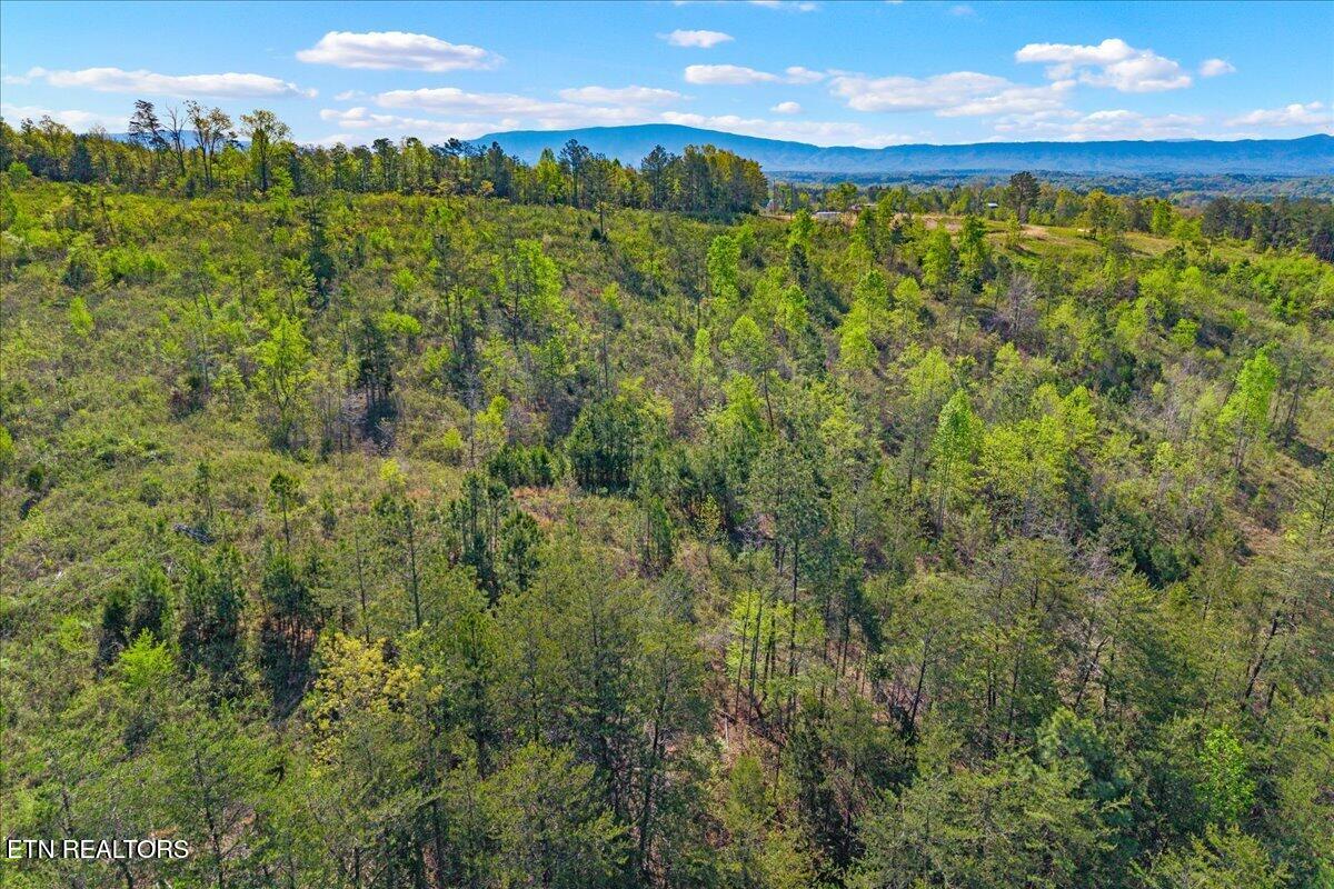 360 County Road 963 Calhoun, TN 37309 - Photo 12 of 24 12-360 County Road 963 Calhoun, TN-12