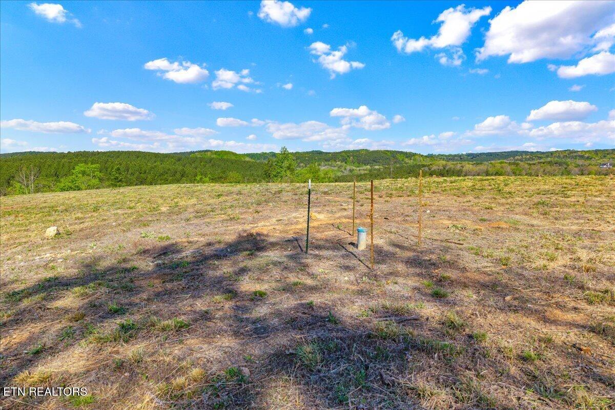 360 County Road 963 Calhoun, TN 37309 - Photo 15 of 24 15-360 County Road 963 Calhoun, TN-15