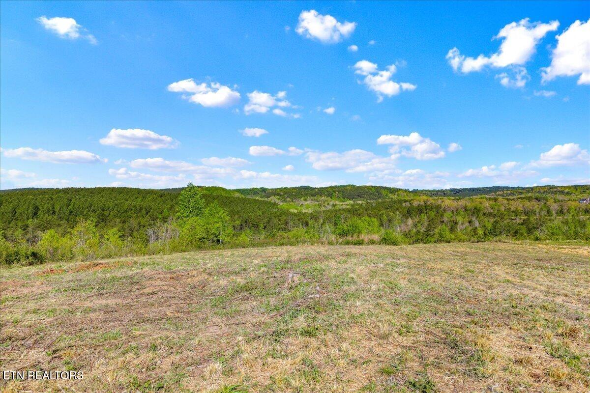 360 County Road 963 Calhoun, TN 37309 - Photo 16 of 24 16-360 County Road 963 Calhoun, TN-16