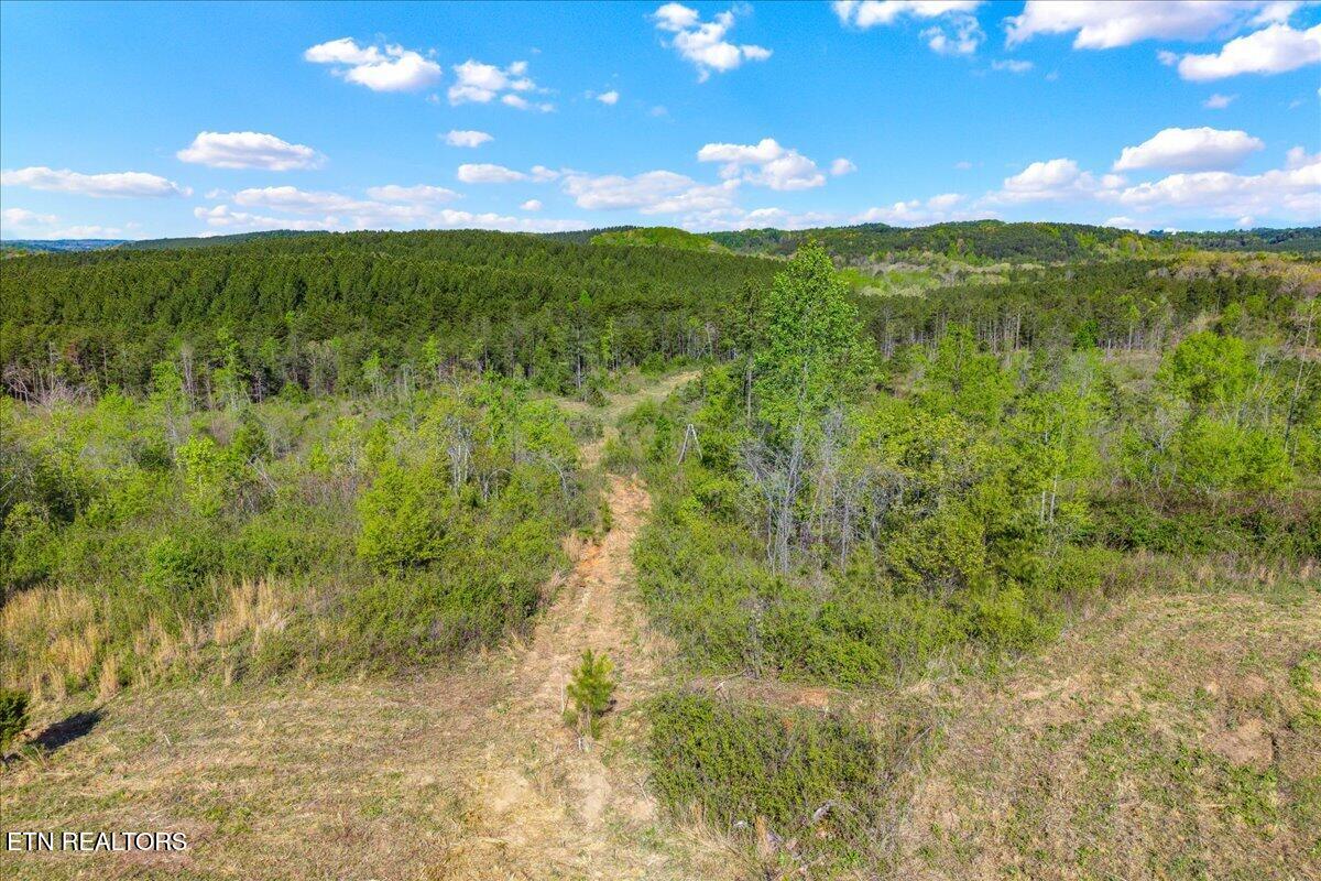 360 County Road 963 Calhoun, TN 37309 - Photo 17 of 24 17-360 County Road 963 Calhoun, TN-17