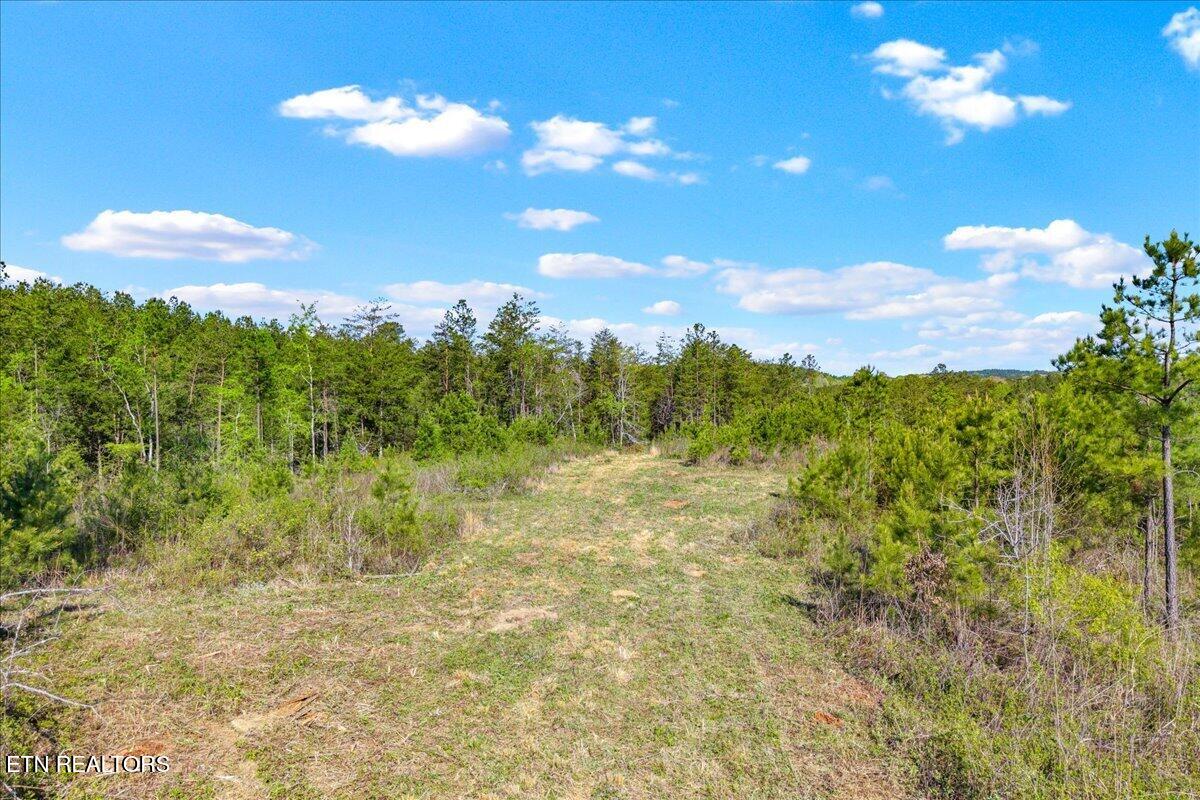360 County Road 963 Calhoun, TN 37309 - Photo 18 of 24 18-360 County Road 963 Calhoun, TN-18