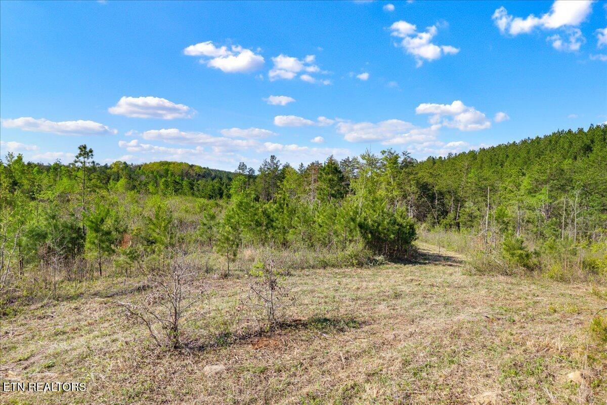 360 County Road 963 Calhoun, TN 37309 - Photo 19 of 24 19-360 County Road 963 Calhoun, TN-19