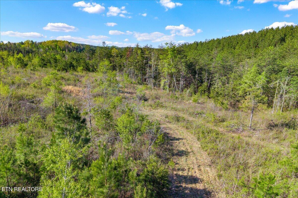 360 County Road 963 Calhoun, TN 37309 - Photo 20 of 24 20-360 County Road 963 Calhoun, TN-20