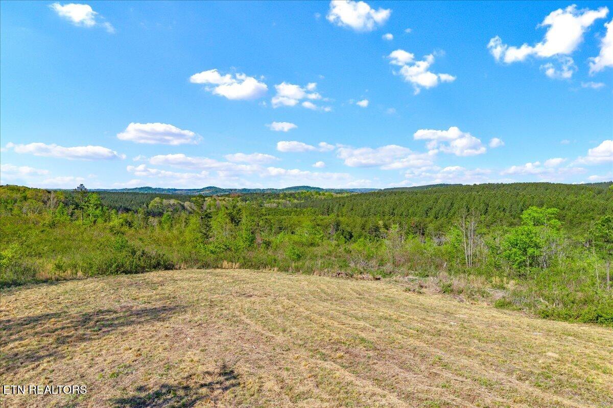 360 County Road 963 Calhoun, TN 37309 - Photo 21 of 24 21-360 County Road 963 Calhoun, TN-21