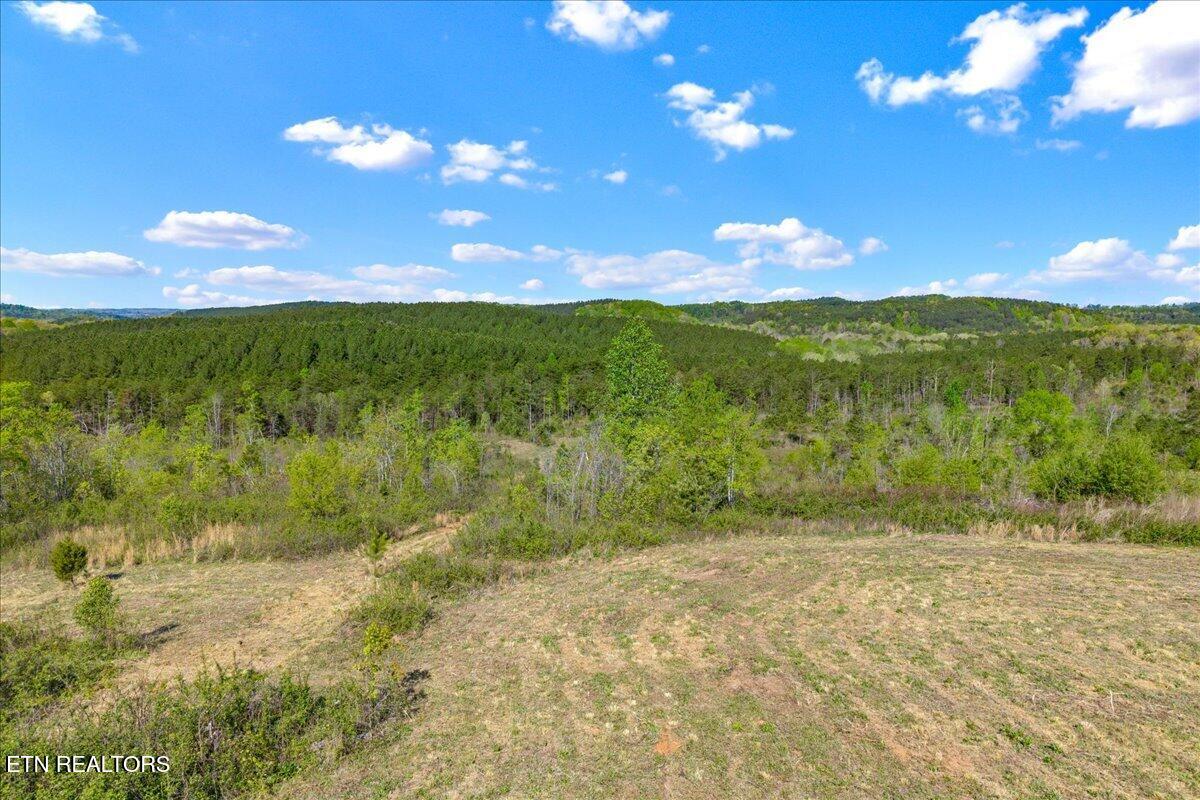 360 County Road 963 Calhoun, TN 37309 - Photo 23 of 24 23-360 County Road 963 Calhoun, TN-23