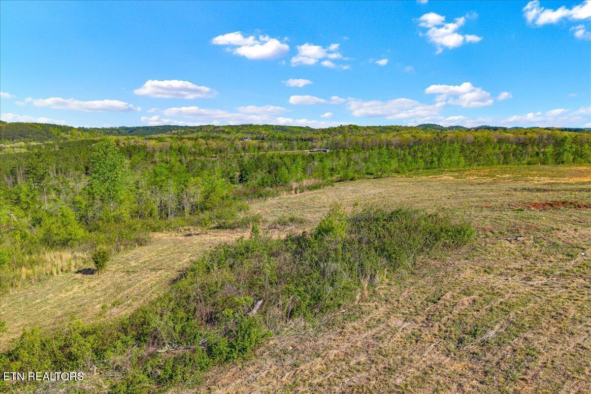 360 County Road 963 Calhoun, TN 37309 - Photo 6 of 24 06-360 County Road 963 Calhoun, TN-6