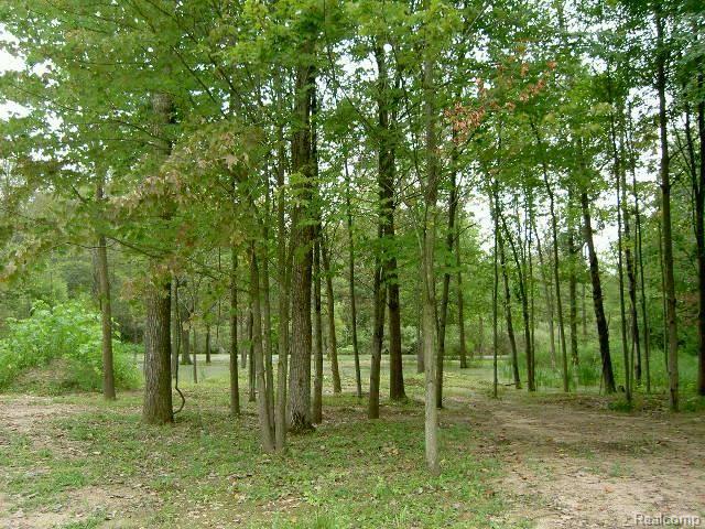 6565 Oakville Waltz Road Carleton, MI 48117 - Photo 20 of 25 Pond