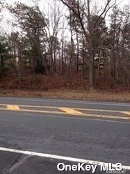 Middle Country Road Middle Island, NY 11953 - Photo 6 of 7 Gallery Image 6