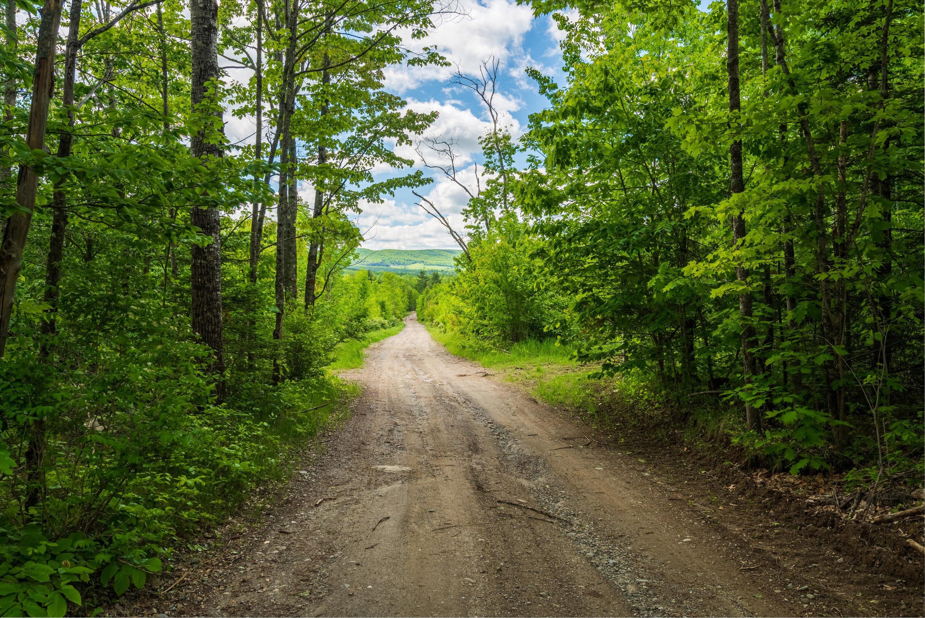 M10-l30 Troy Center Road Dixmont, ME 04932 - Photo 1 of 33 23-Private road looking south