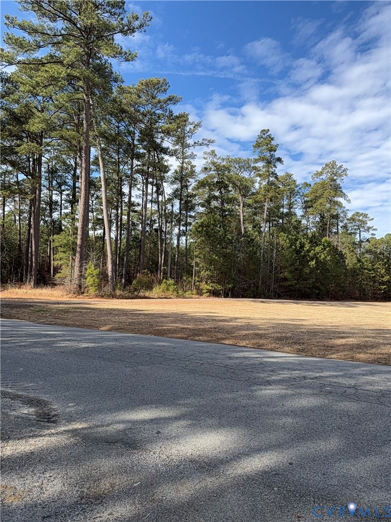 120 North Allen Road Jarratt, VA 23867 - Photo 5 of 6