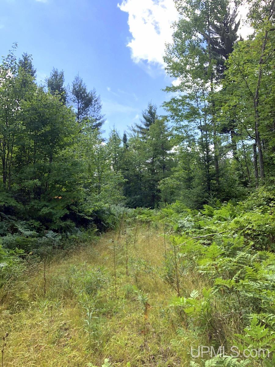 Tbd Tbd Co Road Negaunee, MI 49866 - Photo 8 of 24