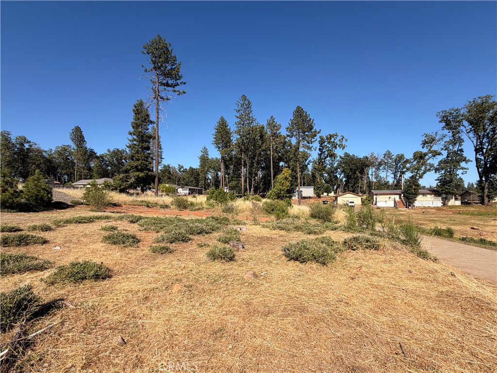 6378 Lucky John Road Paradise, CA 95969 - Photo 2 of 9