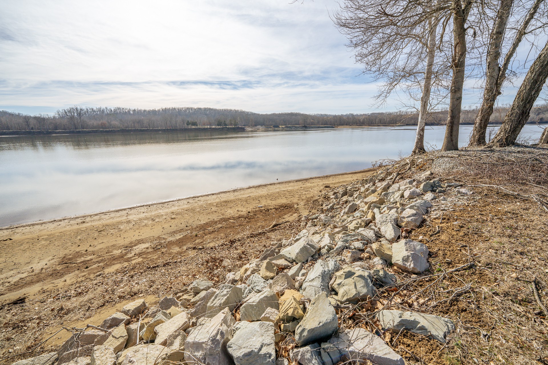 209 Hardin Bottom River Road Clifton, TN 38425 - Photo 48 of 51 a view of ocean view with large trees