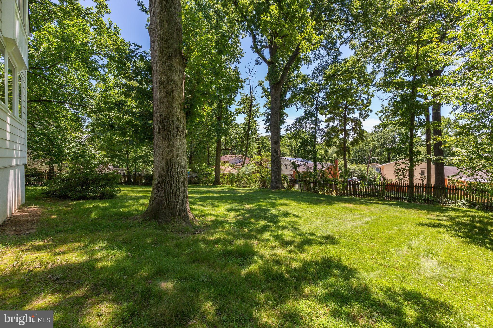 10324 Parkman Road Silver Spring, MD 20903 - Photo 28 of 30 Backyard View