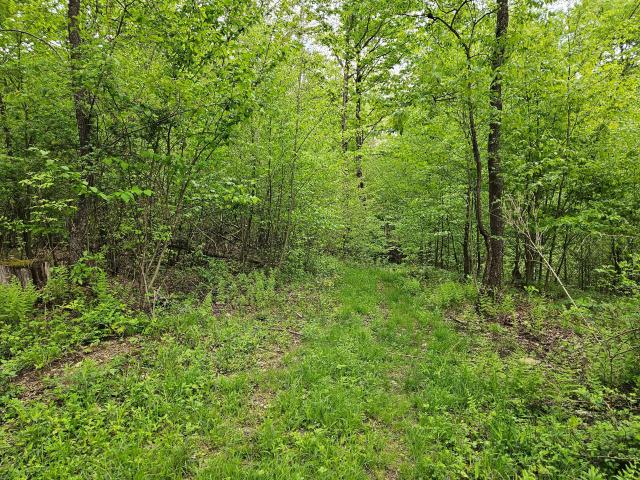 919 Taylor Road Bear Lake, PA 16402 - Photo 1 of 3 Gallery Image 1