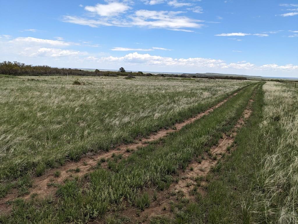 Tbd Honeywell Drive Rye, CO 81069 - Photo 11 of 16