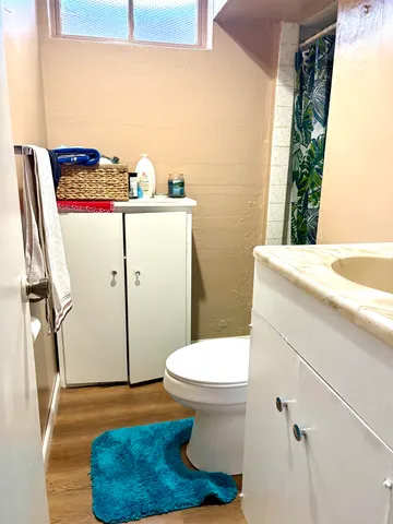 a bathroom with a sink a toilet and a shower