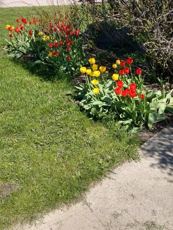 $239,900 | 701 Douglas Avenue, Henning, MN 56551