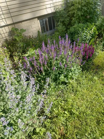 $239,900 | 701 Douglas Avenue, Henning, MN 56551