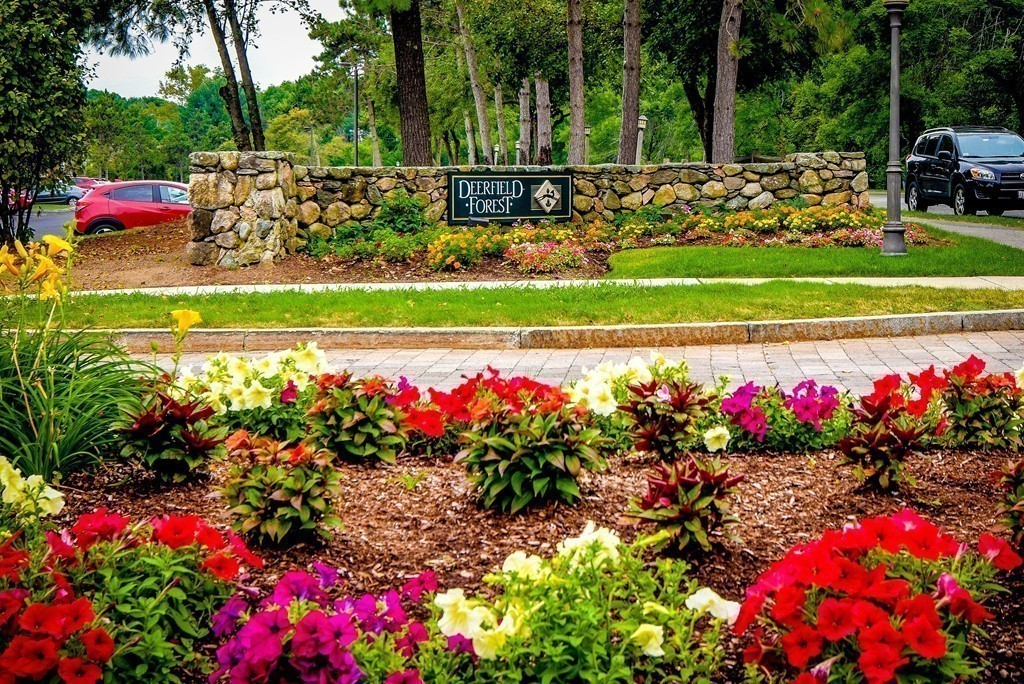 2 Walden Drive, Unit 5 Natick, MA 01760 - Photo 13 of 18 a view of a flower in a garden