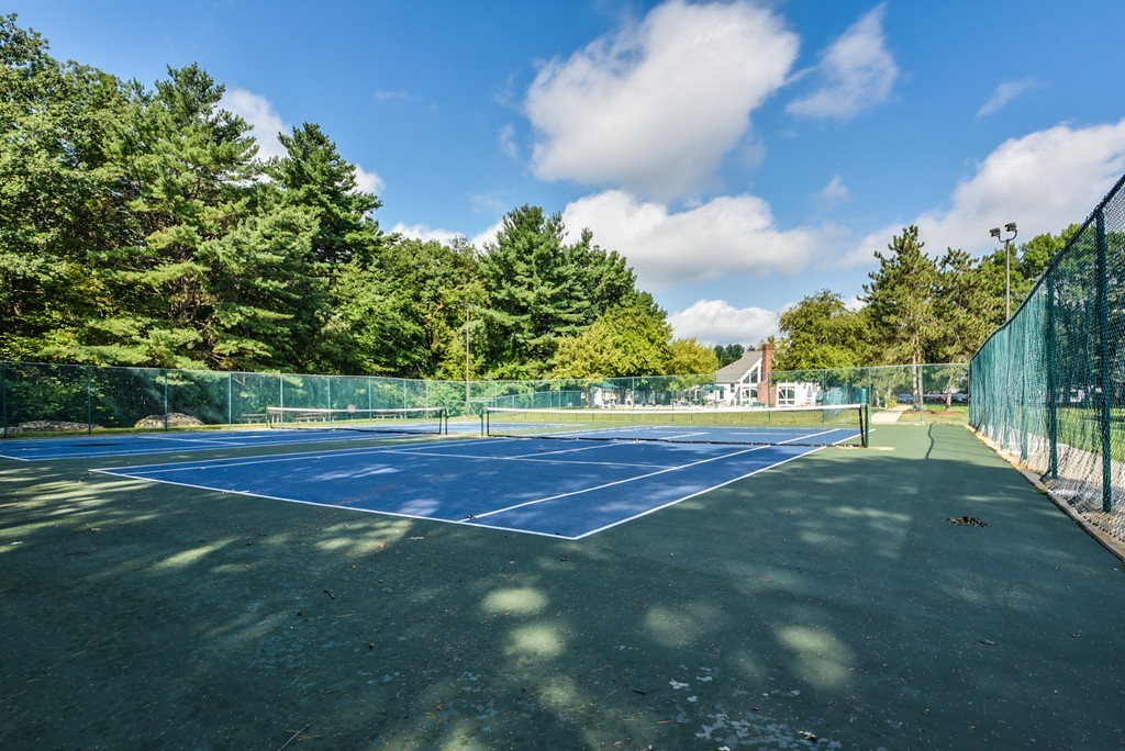 2 Walden Drive, Unit 5 Natick, MA 01760 - Photo 16 of 18 a view of yard with green space and trees
