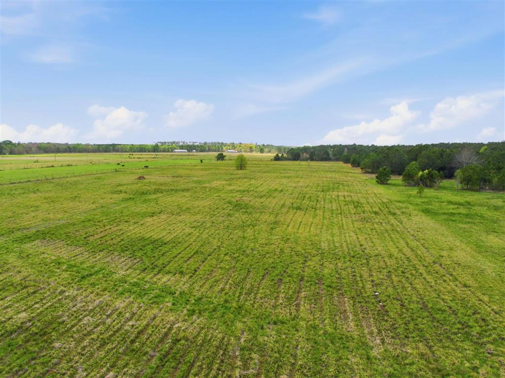 Parish Line Road Kinder, LA 70648 - Photo 5 of 6