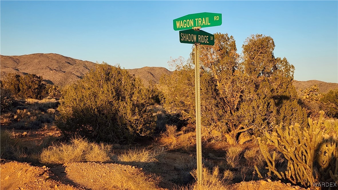 34 South Wagon Trail Road Yucca, AZ 86438 - Photo 2 of 12 View