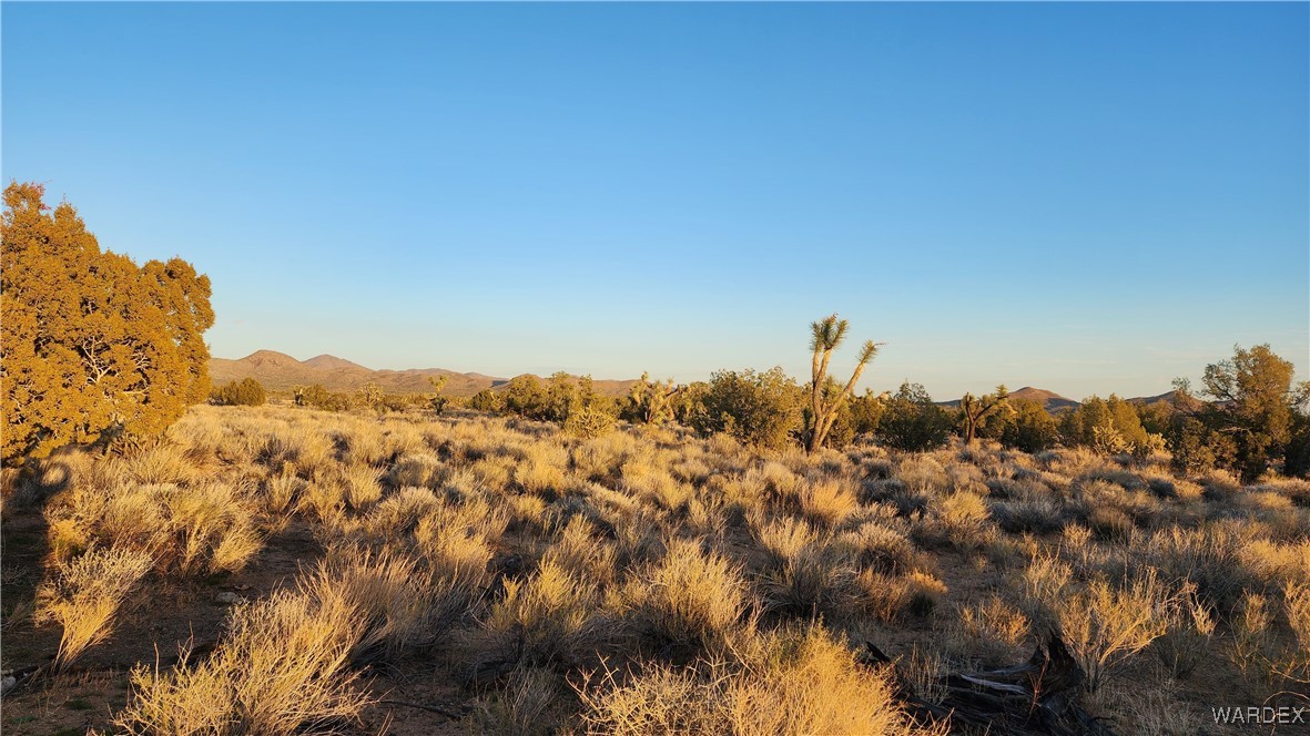34 South Wagon Trail Road Yucca, AZ 86438 - Photo 3 of 12 Other