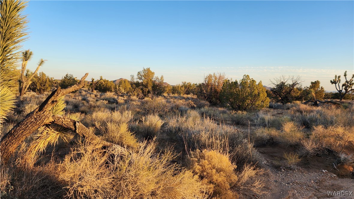 34 South Wagon Trail Road Yucca, AZ 86438 - Photo 5 of 12 Other