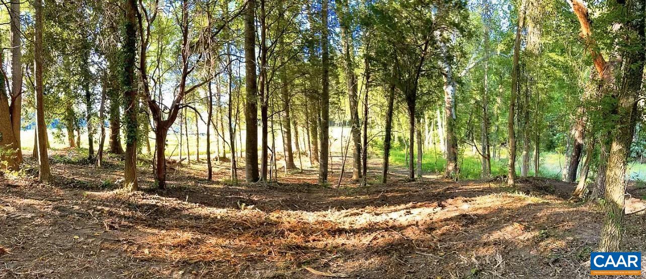 Tbd Pecan Lane Cardinal, VA 23025 - Photo 11 of 13 a view of a yard with large trees